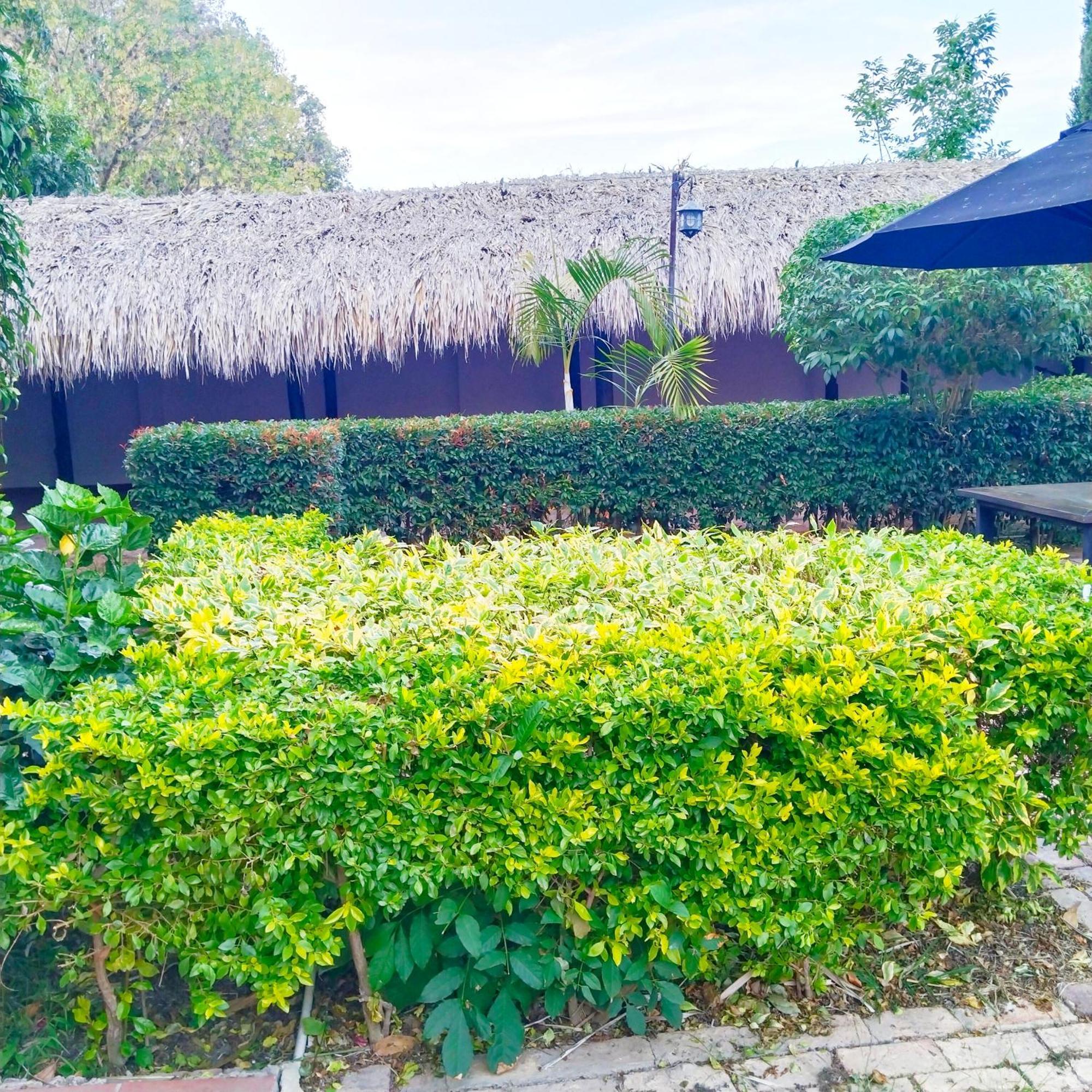Hostal Balcon De Anita Rancho Tranquera Villa de Leyva Kültér fotó
